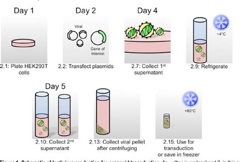 ultra centrifugation for lentivirus.